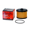 <b>CITRO?N:</b> 190649<br/><b>FIAT:</b> 9628890680<br/><b>TOYOTA:</b> SU00100468<br/>